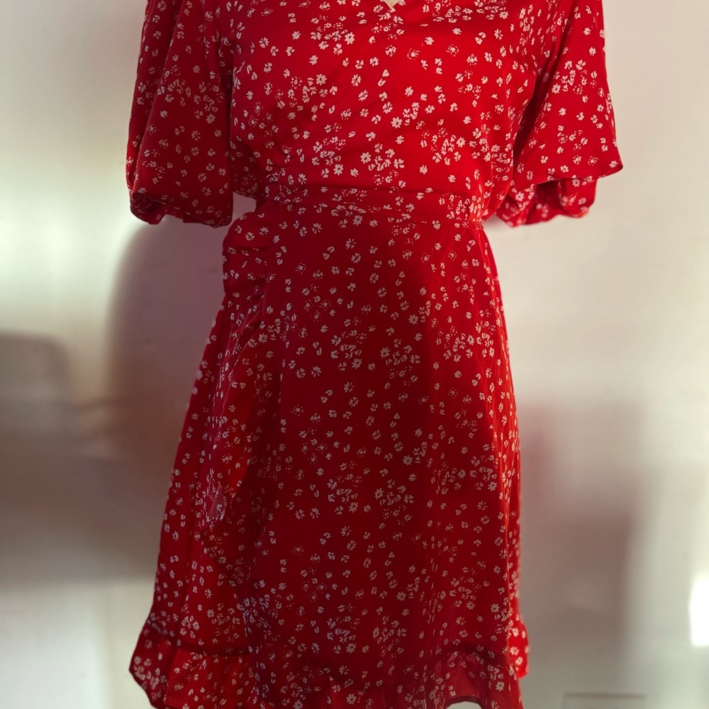 Red Dress - Picture 11 of 16